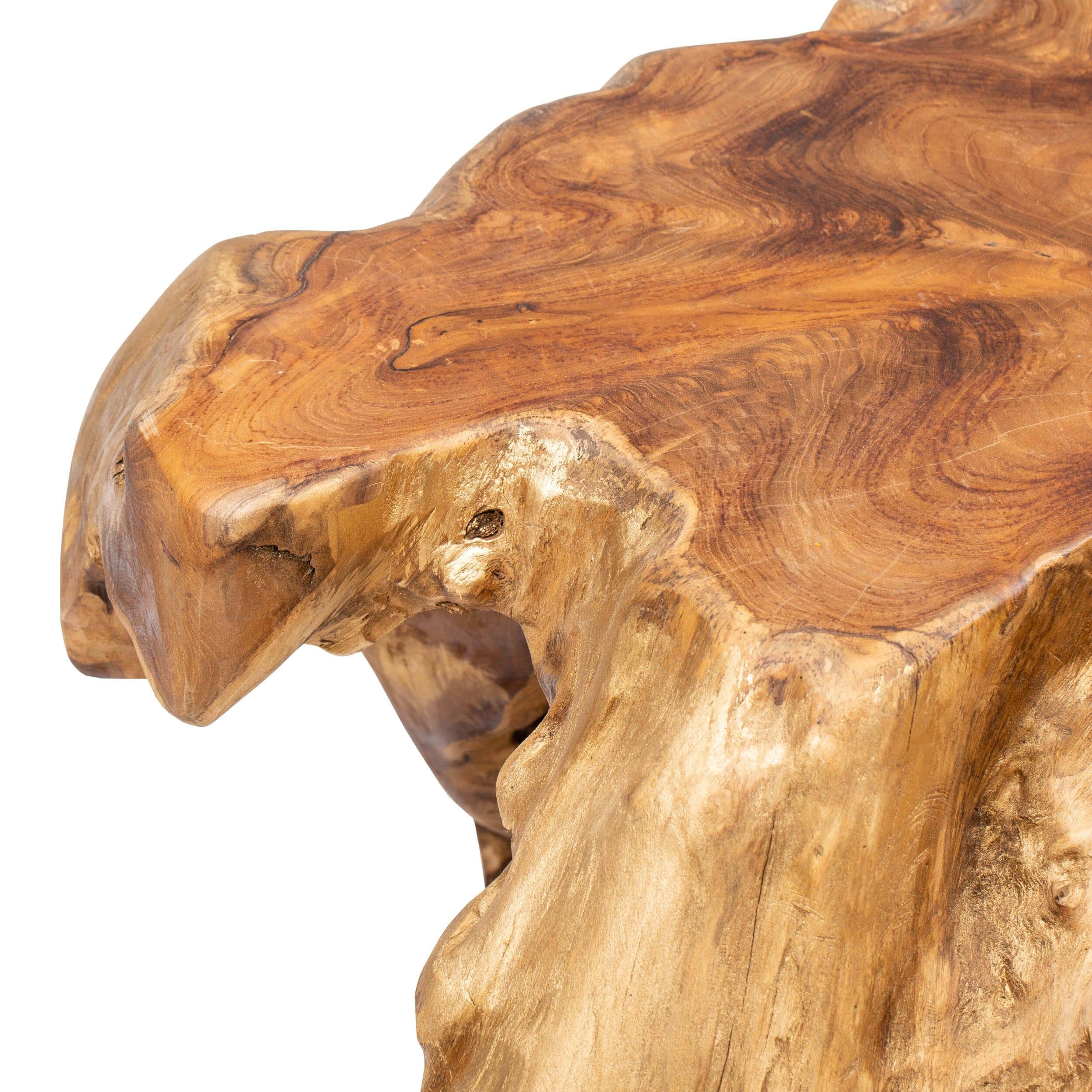 Teak Root Coffee Table - Image 7