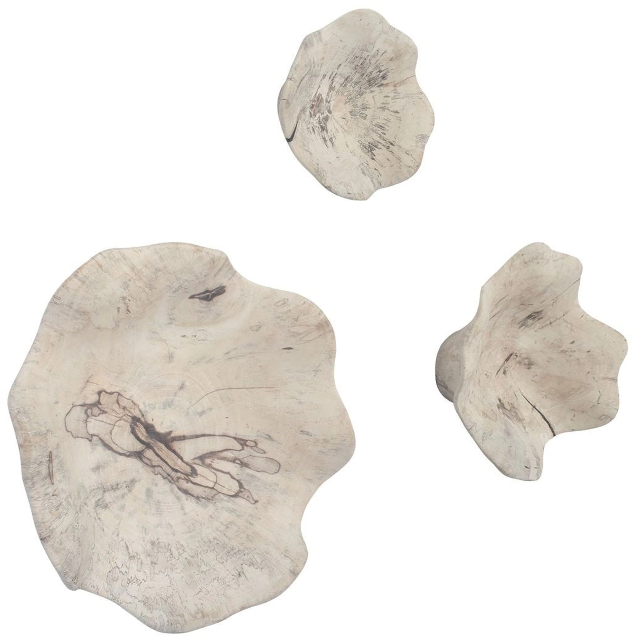 Teo Wood Wall Decor Set of 3, Bleached - Image 2