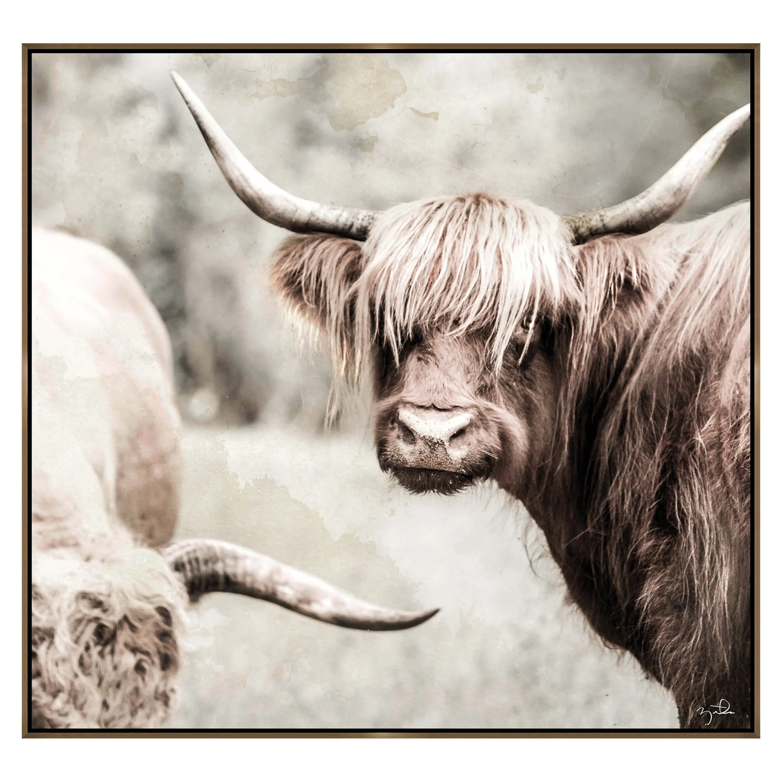 Three Horns Framed