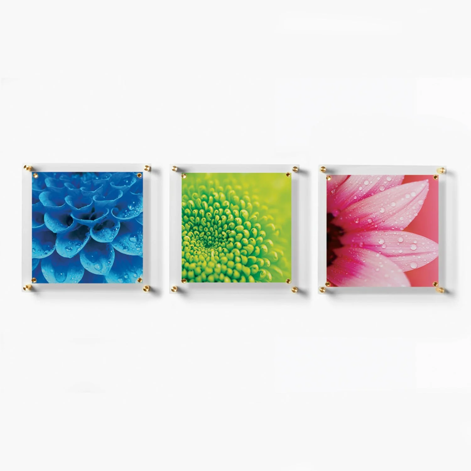 Trio: 3 Square 14" x 14" Single Panel + Magnets Frames for 12" x 12" Art (3001, 3001G) - Image 11
