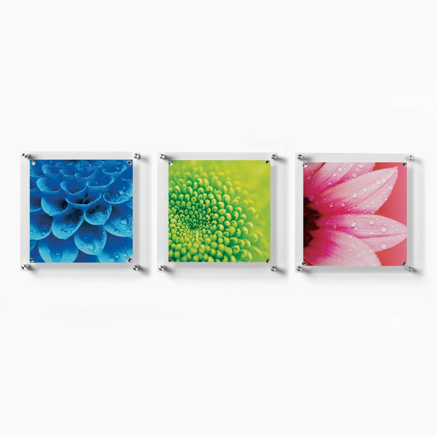 Trio: 3 Square 14" x 14" Single Panel + Magnets Frames for 12" x 12" Art (3001, 3001G) - Image 6