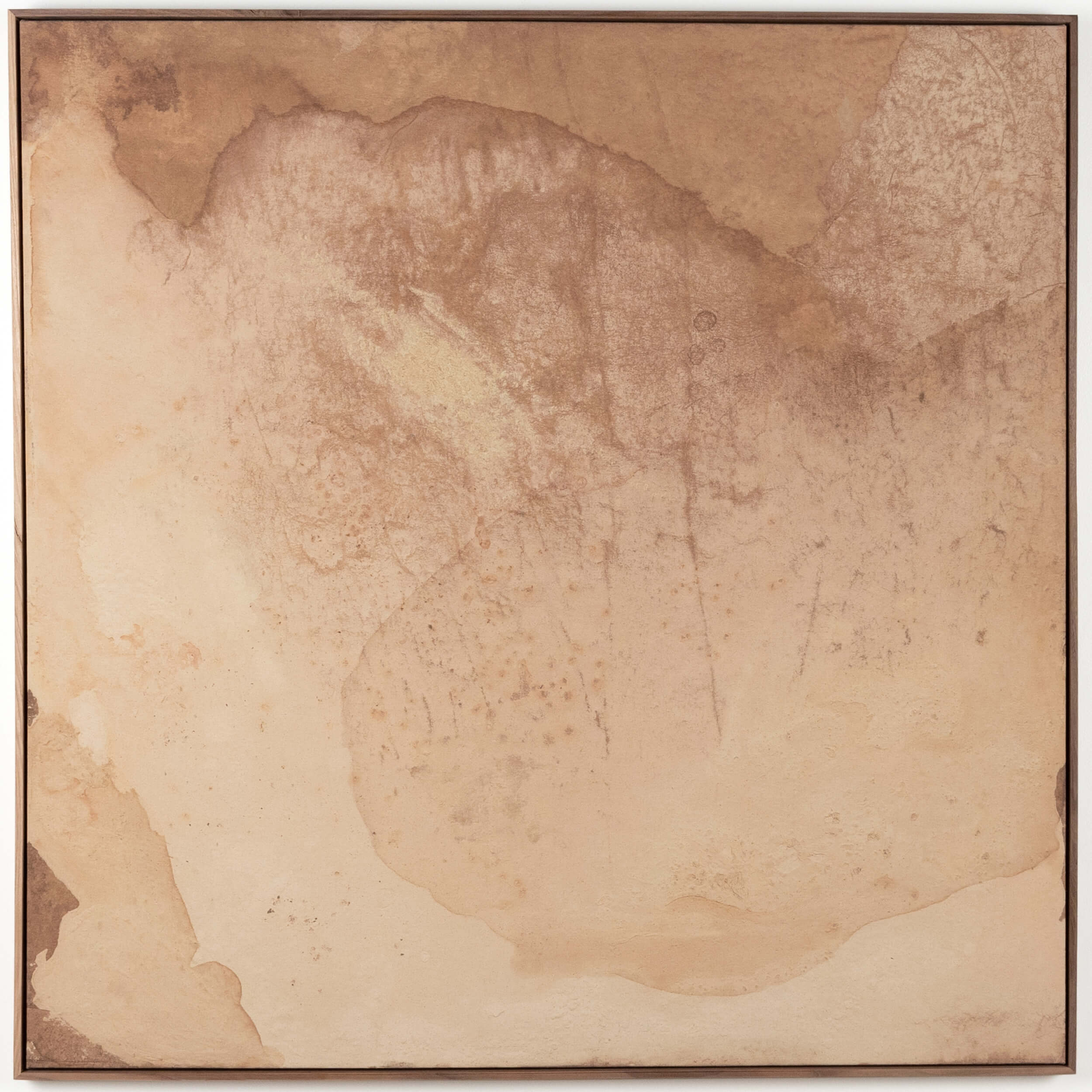 Unforeseen Beauty By Molly Supplee by Four Hands