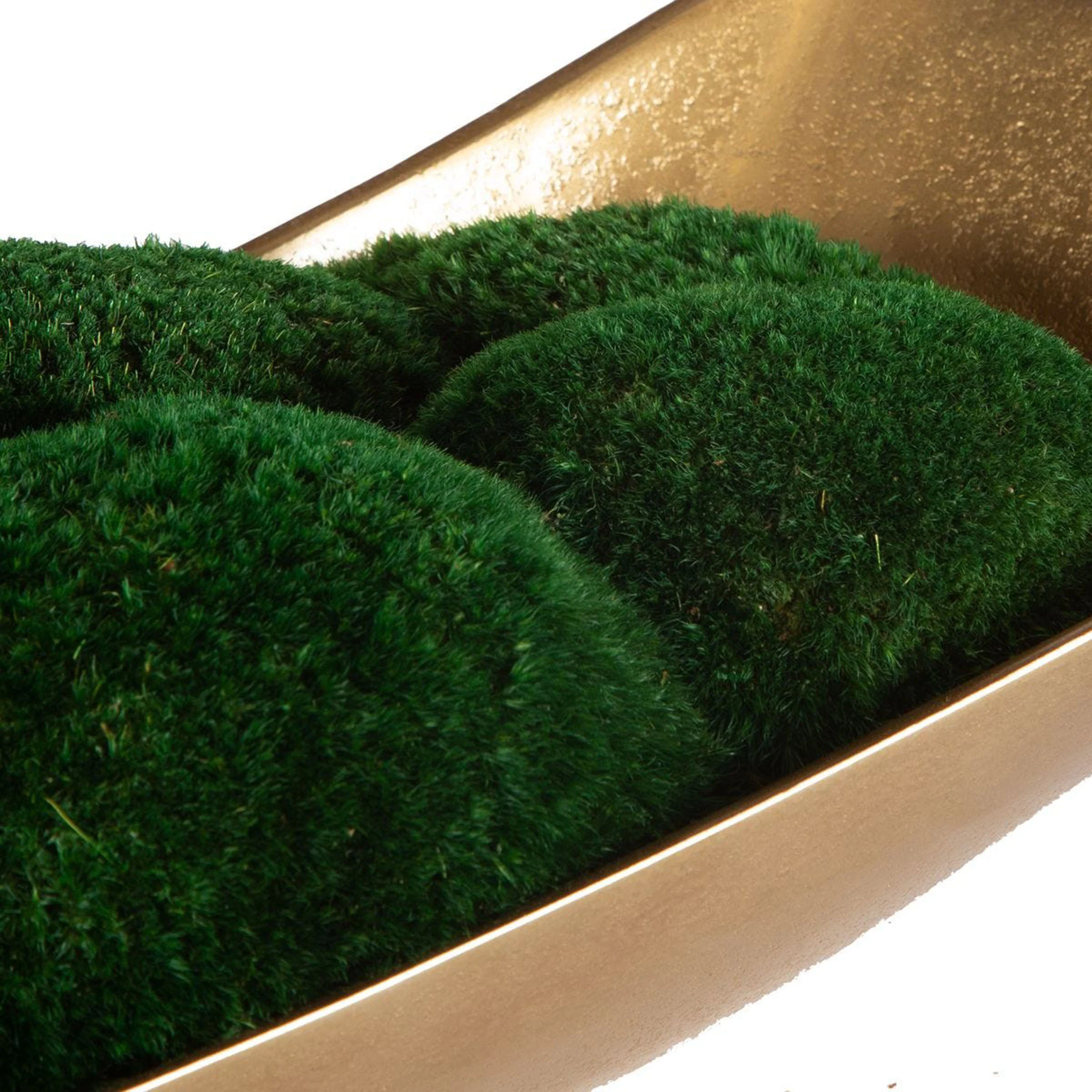 Venice Moss Centerpiece, Natural - Image 4