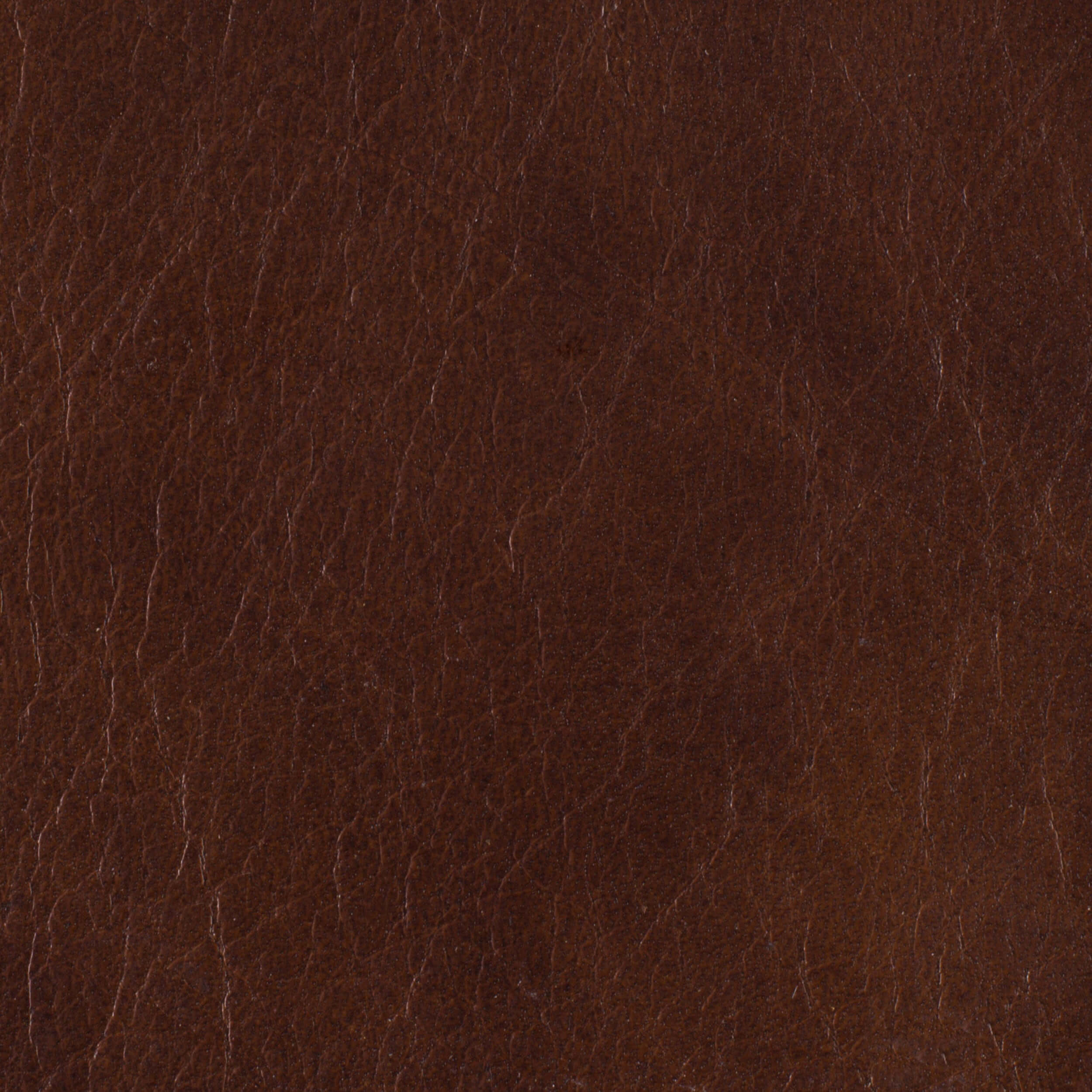 Victoria Leather Executive Swivel Tilt Chair, Halona Native - Image 2