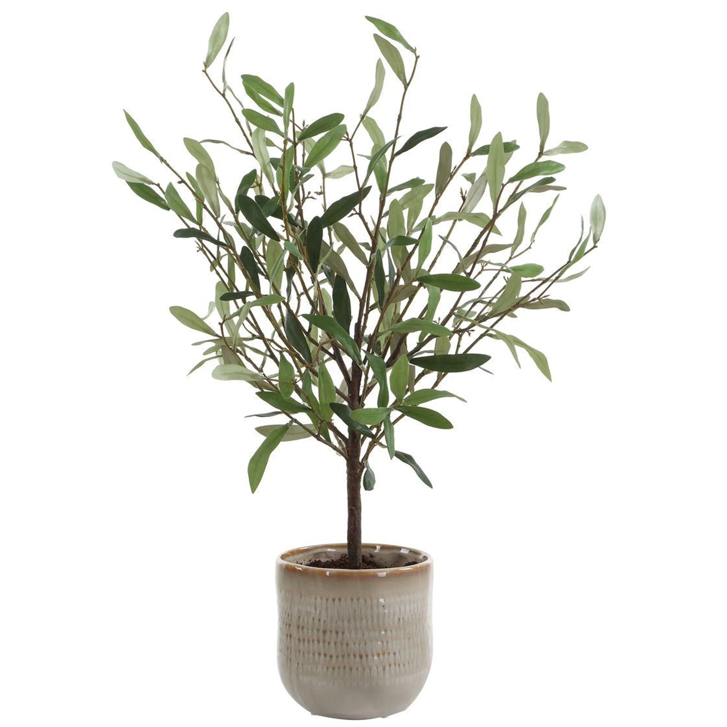 Solea Olive Accent, Neutral Tan
