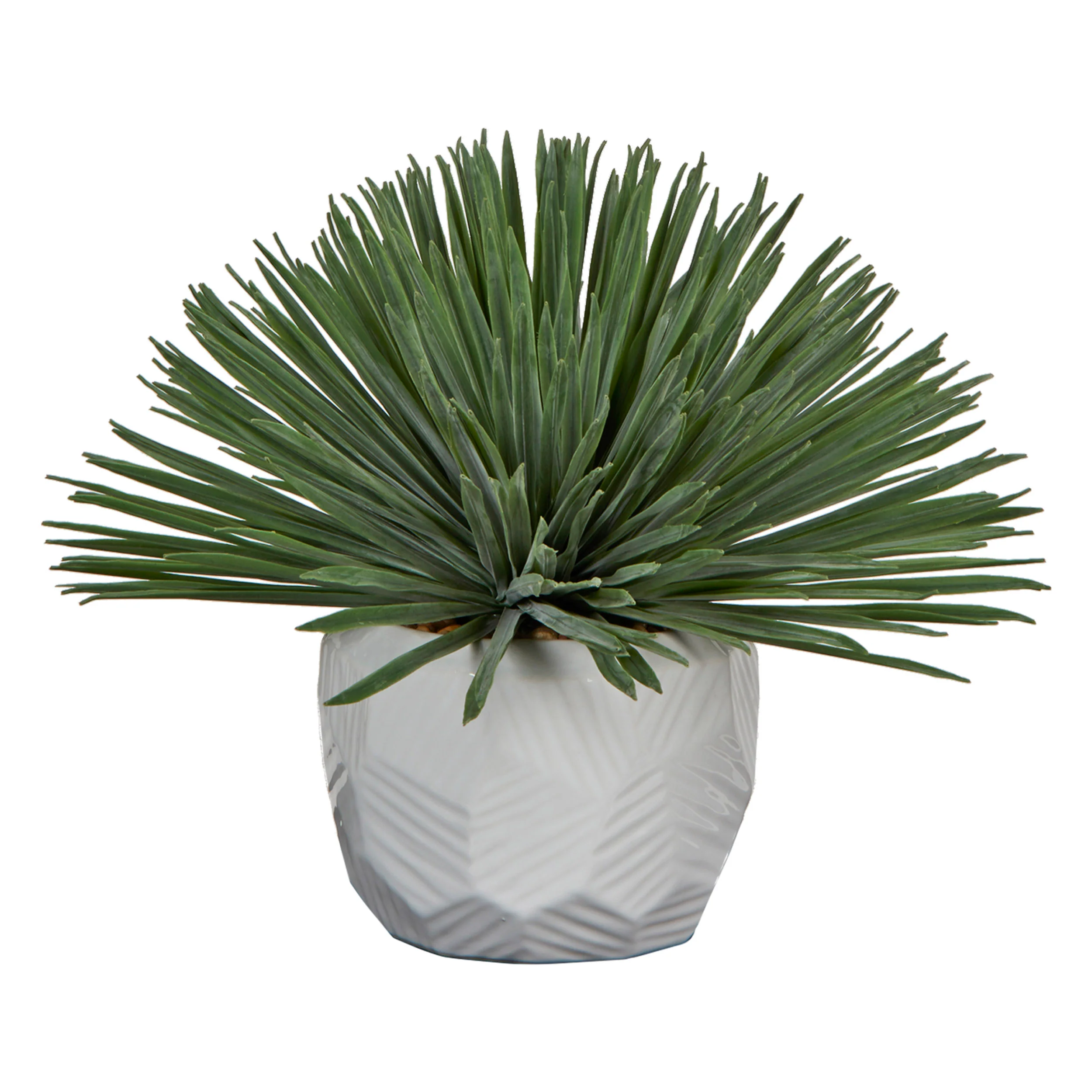 Yucca Rostrata in Flinstone Planter, White