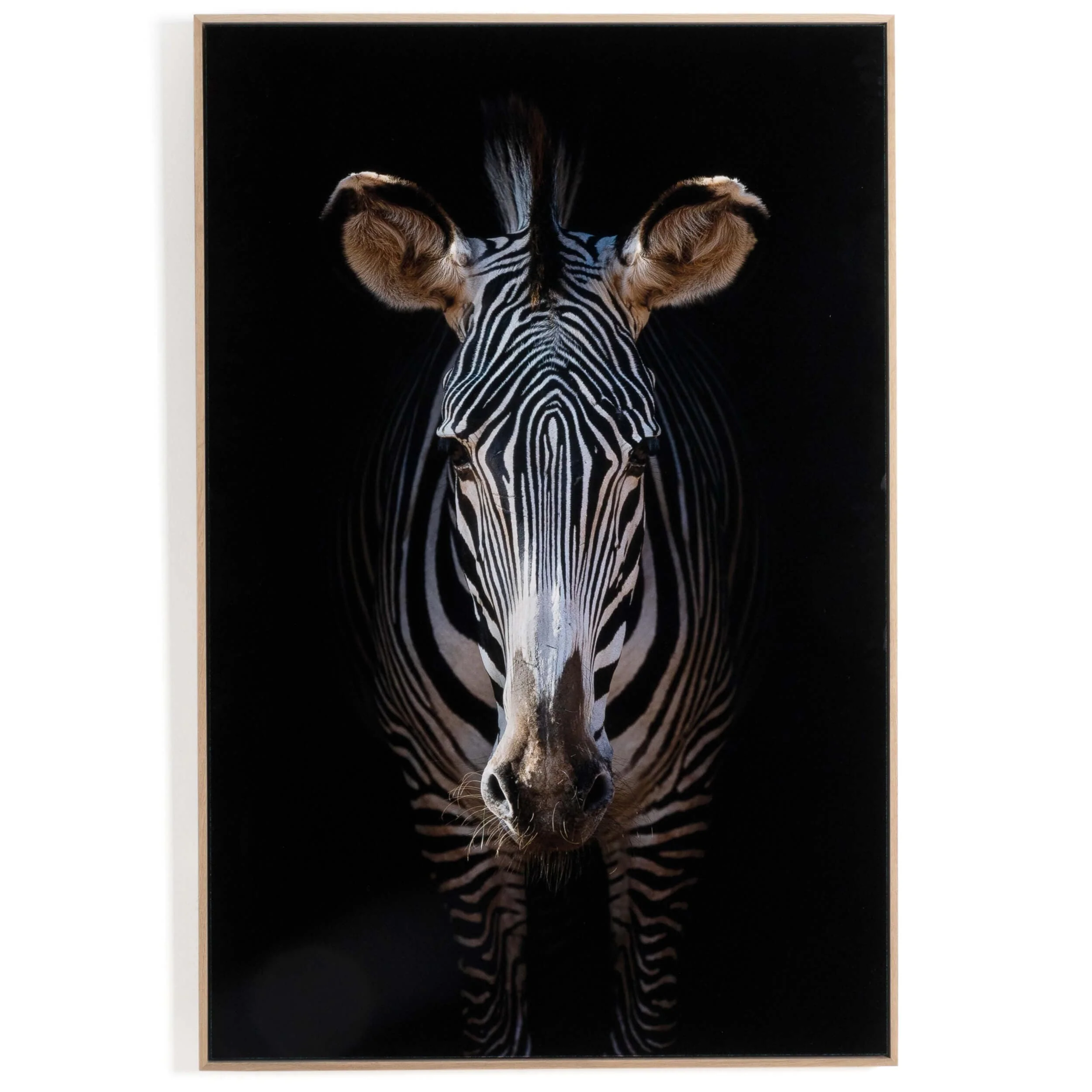 Zebra Stare by Getty Images by Four Hands